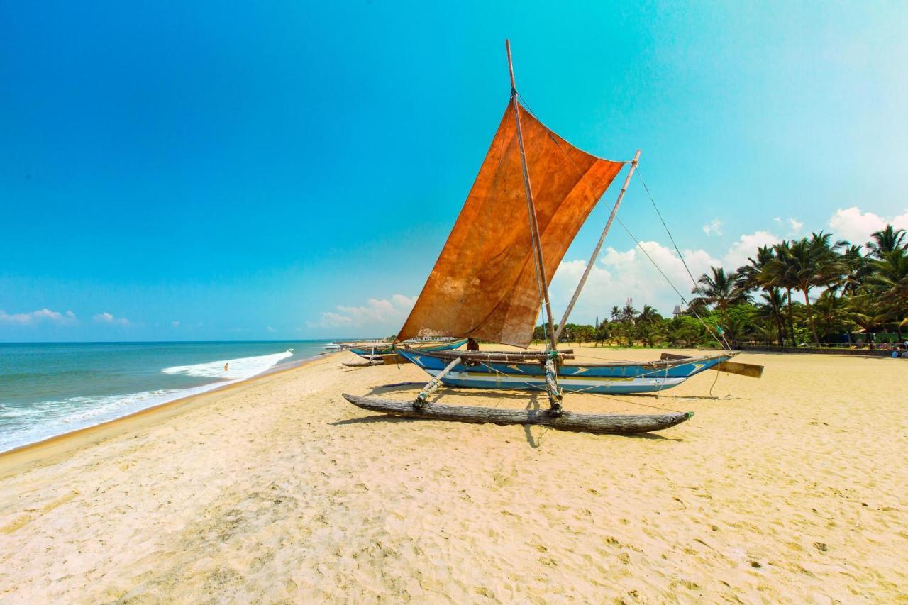 The Kingslayer Resort Negombo Ngoại thất bức ảnh